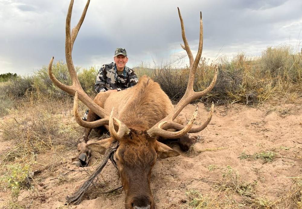 Hunter kneeling behind a heavy-antlered New Mexico bull elk in tan grass
