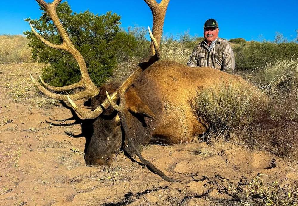 Bull elk taken on private New Mexico ranch land under a clear blue sky