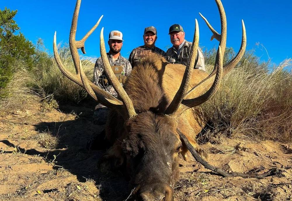 Three hunters behind a wide-framed trophy bull elk in the high desert