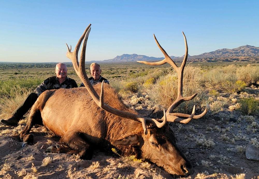 Hunters and guide with a bull elk on the open desert at sunrise
