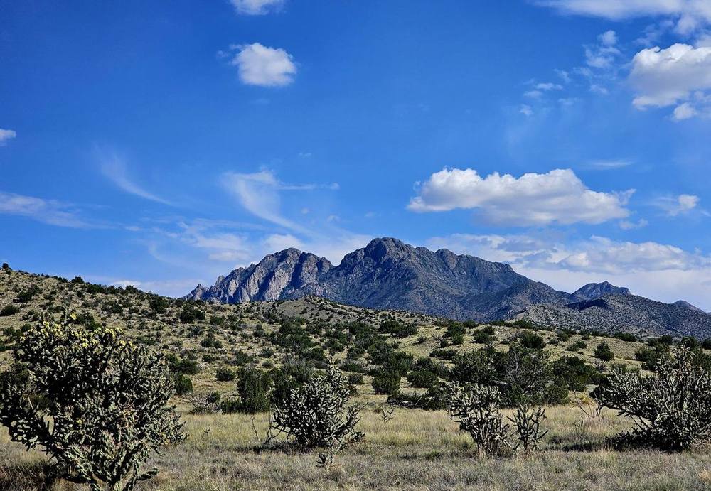 Rugged peak rising out of juniper and cholla under a deep blue sky