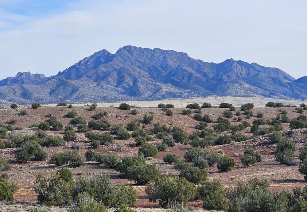 Long mountain range seen across open desert grassland