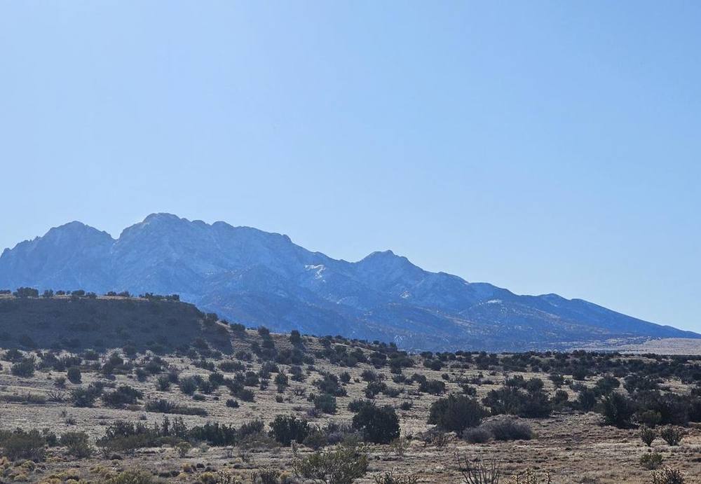 Hazy blue peak above the juniper flats on a still morning