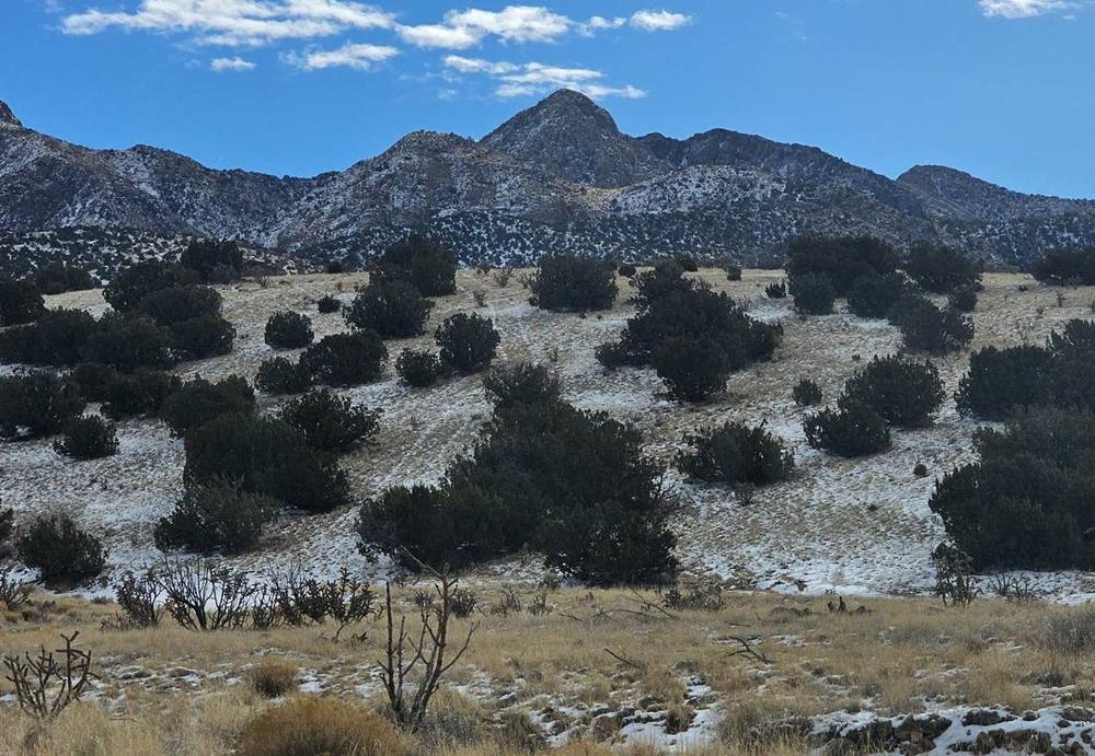 Snow-dusted juniper flats below a rocky peak &mdash; classic mule deer country